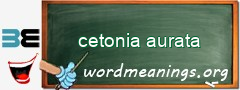 WordMeaning blackboard for cetonia aurata